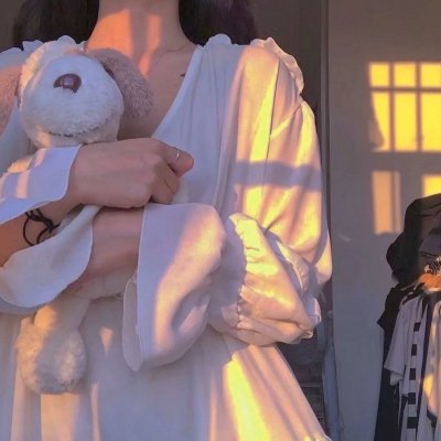 罗伯特·唐尼：自成一格