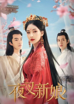 夜店女王 封面图